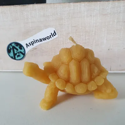 Obrázek produktu pro Včelí vosková svíčka Želva Svíčka Hlava nahoře 4 cm