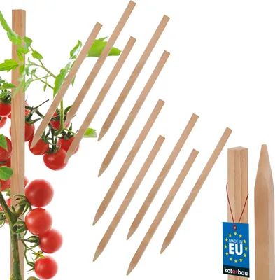 Produktbild von KOTARBAU® 10er Set Pflanzstäbe 25cm Tomaten & Gurken Rankhilfe Tomatenstäbe Holzpfähle Holzstäbe Pflanzenstütze Holzpfosten  aus Buchenholz Natürlich