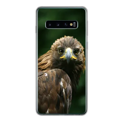 Produktbild von MuchoWow® Handyhülle Schutzhülle Hülle für Samsung Galaxy S10 Adler - Braun - Raubvogel Silikon Softcase Handy Hülle - Handytasche