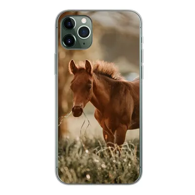Produktbild von MuchoWow® Handyhülle Schutzhülle Hülle für iPhone 11 Pro Max Pferd - Licht - Wiese Silikon Softcase Handy Hülle - Schutz