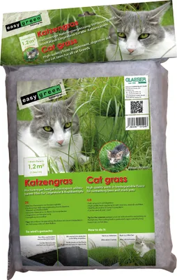Produktbild von easygreen® Katzengras - Patch 1,2m²