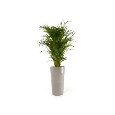 Produktbild von Pflanzvase Ecopots Amsterdam Kunststoff Ø 47 cm H 91 cm taupe