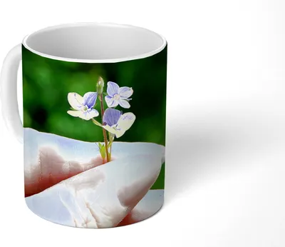 Produktbild von MuchoWow® Tasse Kaffeetasse Kaffeebecher 350 ml Vergissmeinnicht in der Hand einer Frau Teetasse - Fototasse - Becher - Keramikbecher - Teebecher - Kaffeetasse - Bürotasse