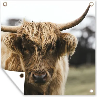 Produktbild von MuchoWow® 100x100 cm Outdoor-Poster Gartendeko Sichtschutz Garten Poster für den Garten  Schottischer Highlander - Porträt