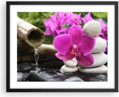 Produktbild von Gerahmtes Poster - Schwarzer Rahmen - Orchidee Bambus Dekoration Spa - 50x40 cm - Wand Bild - Wanddeko - Wandbilder - Wandposter - Bilderrahmen - Bilder - Kunstdruck - Wandbild - P2BAA50x40-2666