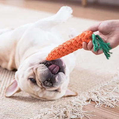 Produktbild von 16 Stück Hundespielzeug für robusten Kauspaß - Zahntrainingsset für kleine und mittelgroße Hunde