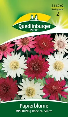 Produktbild von Quedlinburger Saatgut - Papierblume Mischung - Samen - 528002