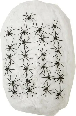 Produktbild von Halloween-Dekoration My Other Me Spinnennetz 500 gr Riese