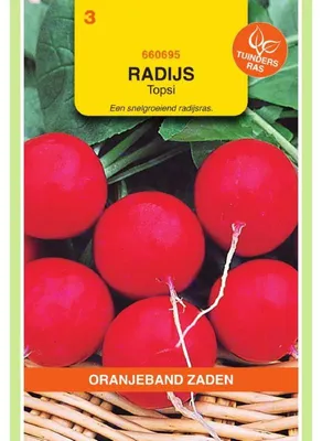 Zdjęcie produktu dla Oranjeband Radies Topsi - 1 opakowanie nasion