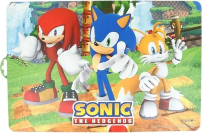 Image de Set de table 28x43cm SONIC