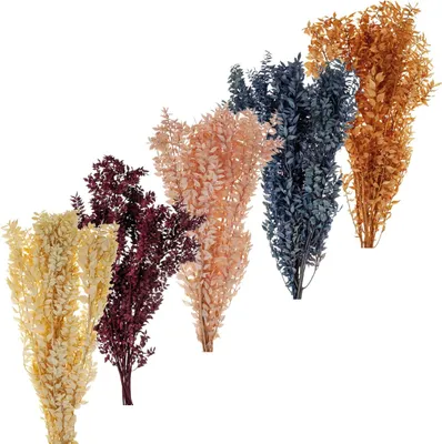 Produktbild von Getrockneter Ruscus in 4 Farben 70 cm, 5_Farbe:Lila
