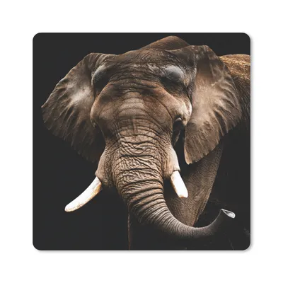 Produktbild von MuchoWow® Mauspad Mousepad Elefant - Tiere - Zähne 30x30 cm - Mousepads - Maus Mat - Pad - Mausunterlage - Gaming