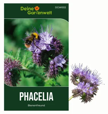 Produktbild von Phacelia Bienenfreund Samen 3 g - Phacelia tanacetifolia - Phaceliasamen - Blumensamen - Saatgut