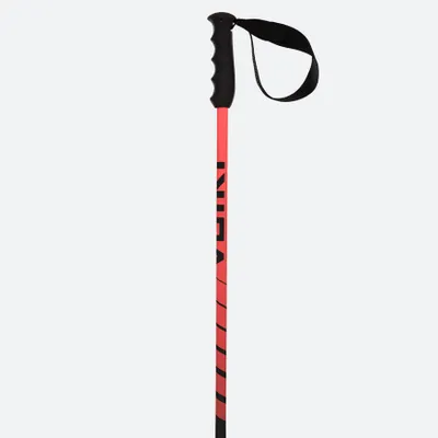 Produktbild von Völkl SPEEDSTICK RED POLES - 125