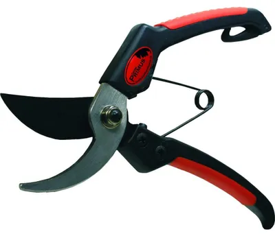 Produktbild von Garten PRIMUS Herren-Gartenschere Länge: 205 mm