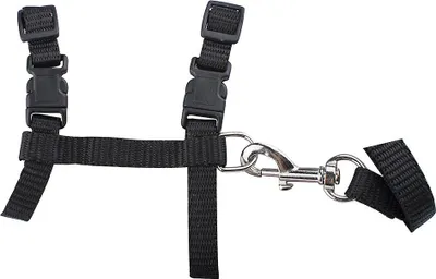 Produktbild von Katzengeschirr, verstellbares Halsband mit Nylonriemen, Sicherheitsgeschirr für Katzen mit Sicherheitsverschluss