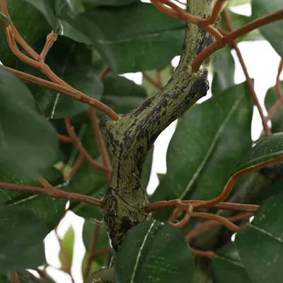 Immagine prodotto di Albero di Ficus Artificiale 480 Foglie 130 cm Verde