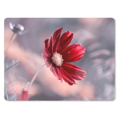 Produktbild von MuchoWow® Mauspad Mousepad Blumen - Rot - Natur - Pflanzen 23x19 cm - Mousepads - Maus Mat - Pad - Mausunterlage - Schreibtischunterlage - Mauspad