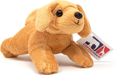 A plush toy dog is shown against a white background.