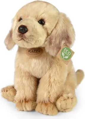 Obrázok produktu pre RAPPA Plyšový labrador na sedenie 27 cm ECO-FRIENDLY