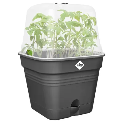 Zdjęcie produktu dla elho 8711904515317, Plastik, Czarny, Kwadrat, 100%, 100%, 1,7 l