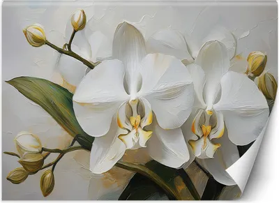 Produktbild von Vlies fototapete Gemalte Orchideenblüte 300x210 cm Feeby Weiß inkl. Kleber einfache Montage