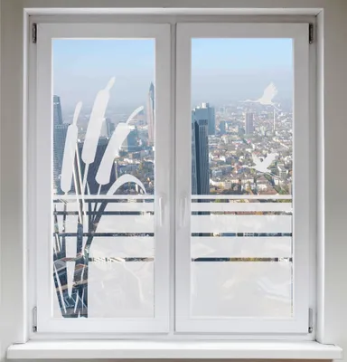 A window with frosted film applied, showing a cityscape view through it.