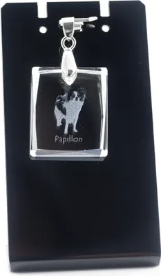 Image de Papillon - Pendentif en cristal avec chien, collier avec photo, bijoux uniques d'Art-Dog