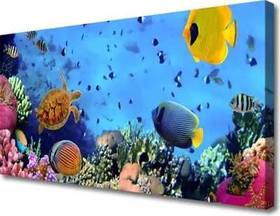 Produktbild von Tulup Leinwand-Bilder 100x50 Wandbild Canvas Kunstdruck Korallenriff Natur