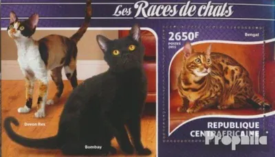 Produktbild von Briefmarken Zentralafrikanische Republik 2015 Mi Block 1294 (kompl. Ausgabe) postfrisch Katze