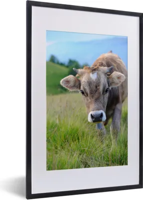Produktbild von MuchoWow® MuchoWow® Gerahmtes Poster Kuh - Braun - Landschaft 40x60 cm - Poster mit zchwarzem Bilderrahmen - Poster in Rahmen