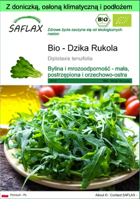Zdjęcie produktu dla SAFLAX - Garden to go - Bio - Dzika Rukola - 1500 Nasiona - Z doniczką, pokrywą klimatyczną i podłożem do uprawy - Diplotaxis tenuifolia