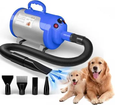 Immagine prodotto di Asciugacapelli per cani silenzioso da 3800 W, 4 ugelli, flessibile