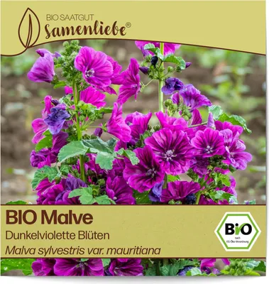 Produktbild von Samenliebe  Malve Samen alte Sorte Dunkelviolette Blüten 100 Samen samenfestes Blumen Saatgut für Garten Freiland und Balkon  Blumensamen