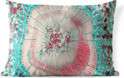 Produktbild von MuchoWow® Outdoor Kissen - Kreis - Blau - Rot - 60x40 cm - Wetterfest - Lounge Kissen - Zierkissen - Kissen für Innenräume