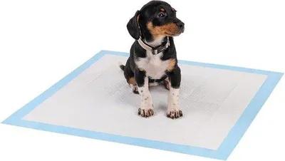 Produktbild von Famanu Trainingspads für Hunde - 6-lagig - 60x60cm - 100 Stück