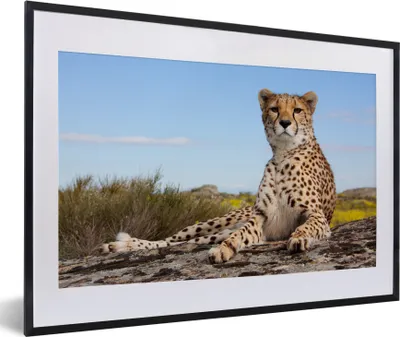 Produktbild von MuchoWow® Gerahmtes Poster Leopard - Tiere - Natur 60x40 cm - Poster mit Schwarzem Bilderrahmen Wandposter Rahmen Foto Bilder - Schlafzimmer - Plakat in Rahmen - Drucken