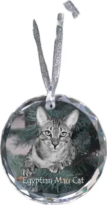 Produktbild von Ägyptische Mau Katze - Kristallkugel mit Foto, Katzenfoto im Kristall, personalisierter Weihnachtsbaumanhänger von Art-Dog.
