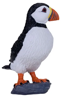 Zdjęcie produktu dla Mojo Fun Atlantic Puffin, 3 lat(a), SEALIFE, Polichlorek winylu (PVC)