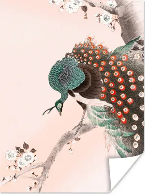 Produktbild von MuchoWow® Poster Vintage - Pfau - Japanisch - Pfauenfedern 30x40 cm - Wandplakat - Poster Kinderzimmer