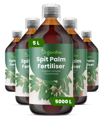 Produktbild von Spitpalmen Flüssigdünger 5x1L – 2-1-8 NPK – Flüssig-Pflanzendünger für Spitpalmen – Organifer