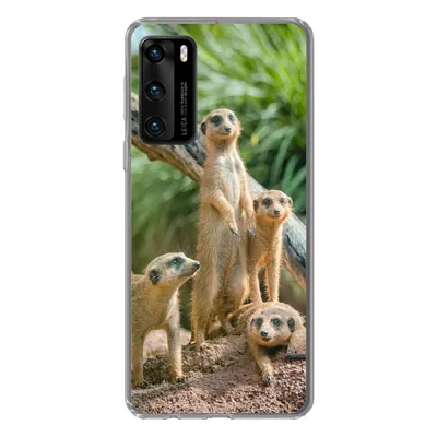 Produktbild von MuchoWow® Handyhülle Schutzhülle Hülle für Huawei P40 Erdmännchen - Familie - Tiere Silikon Softcase Handy Hülle - Handytasche