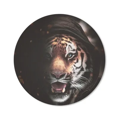 Produktbild von MuchoWow® Mauspad Mousepad Tiger - Kleidung - Tiere 20x20 cm - Mousepads - Maus Mat - Pad - Mausunterlage - Schreibtischmatte