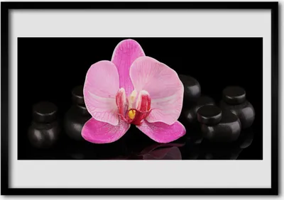 Produktbild von Bild 100x70 MDF-Rahmen Wandkunst Stein Blume Pflanze