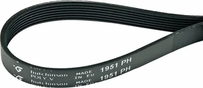 A black serpentine belt with ribbed grooves is shown against a white background.