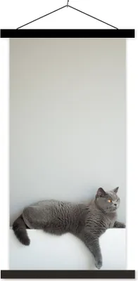 Produktbild von MuchoWow® Textilposter Katze - Britisch Kurzhaar - Grau - Mädchen - Kinder - Jungen - Kinder 40x80 cm mit schwarzem Rahmen - Wandemalerei