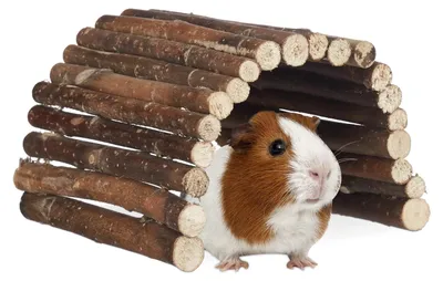 Produktbild von Kletterbrücke Hamsterbrücke Nagerbrücke - Flexibel - Naturholz - 29 x 17 cm
