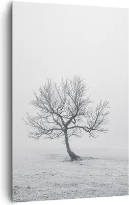 Produktbild von Bild auf Leinwand - Leinwandbild - Einteilig - Baum Feld Natur - 80x120cm - Wand Bild - Wanddeko - Wandbilder - Leinwanddruck - Kunstdruck - Wanddekoration - Leinwand bilder - Wandbild - PA80x120-3683