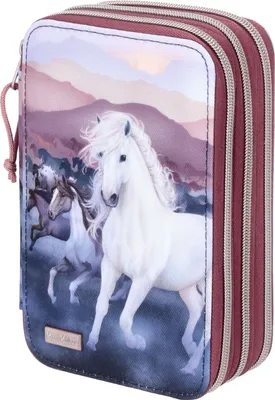 Produktbild von Depesche Miss Melody 3Fach Federtasche 4010070662868