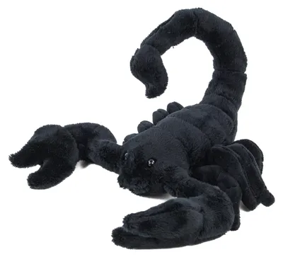 Produktbild von Kuscheltier Skorpion schwarz 26 cm Plüschskorpion